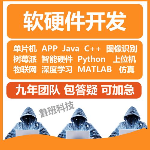 java代做软硬件web程序树莓派网站单片机python计算机开发设计